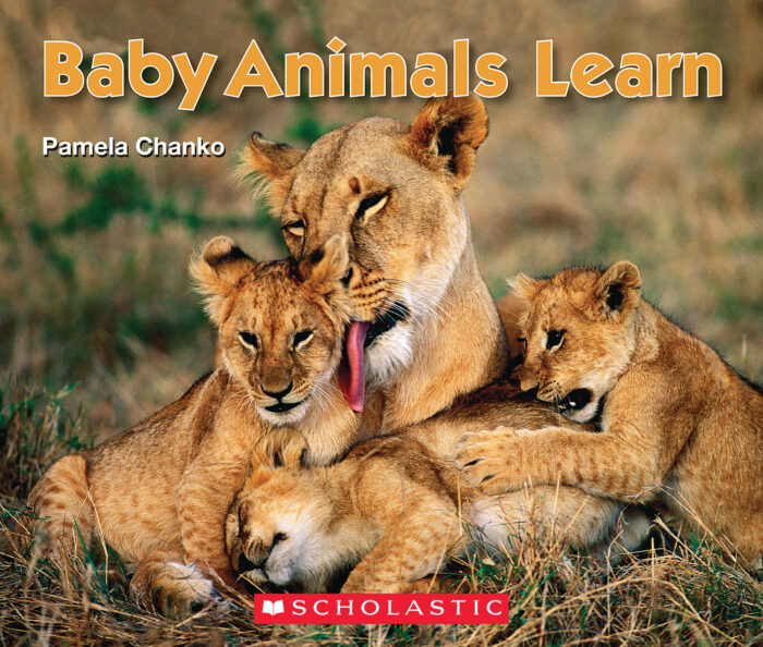 Emergent Science Readers: Baby Animals Learn by Pamela Chanko