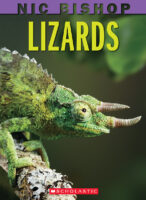 Nic Bishop: Lizards
