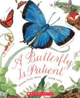 A Butterfly is Patient