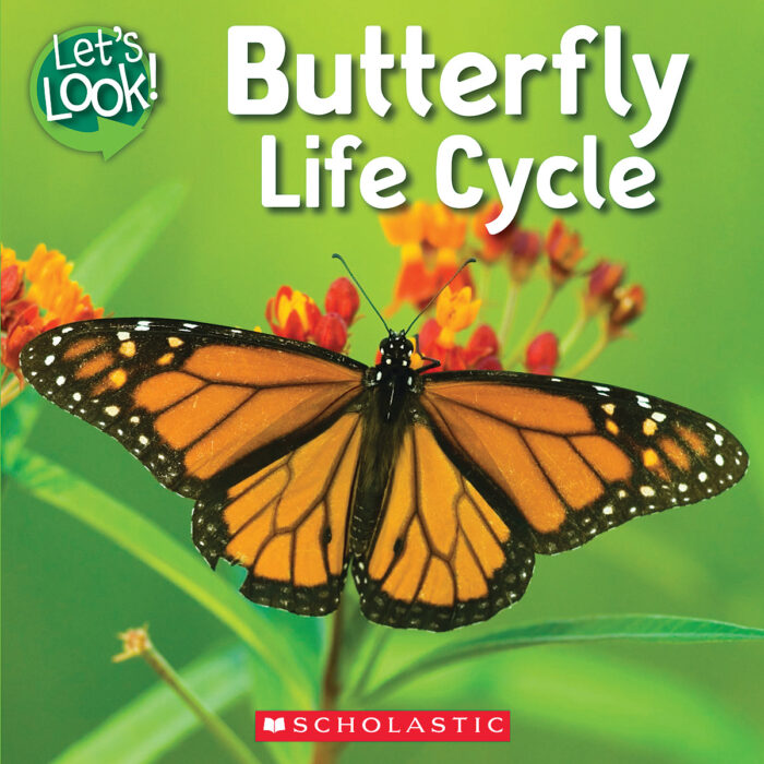 Let's Look-Life Cycle: Butterfly Life Cycle
