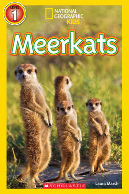 National Geographic Kids Readers: Meerkats