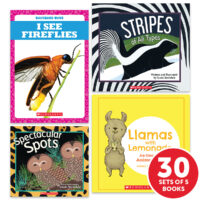 My Books Summer Grade PreK Nonfiction - Classroom Set