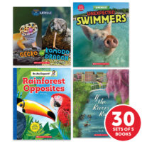 My Books Summer Grade 1 Nonfiction - Classroom Set