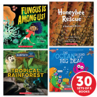 My Books Summer Grade 2 Nonfiction - Classroom Set