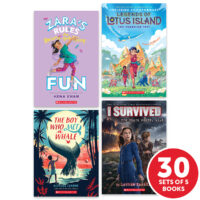 My Books Summer Grade 5 Fiction - Classroom Set