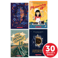 My Books Summer Grade 7 Fiction - Classroom Set