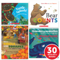 My Books Summer Grade PreK Beginning Concepts - Classroom Set