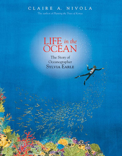 Life in the Ocean by Claire A. Nivola | Scholastic Education