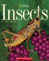 National Geographic: Insects