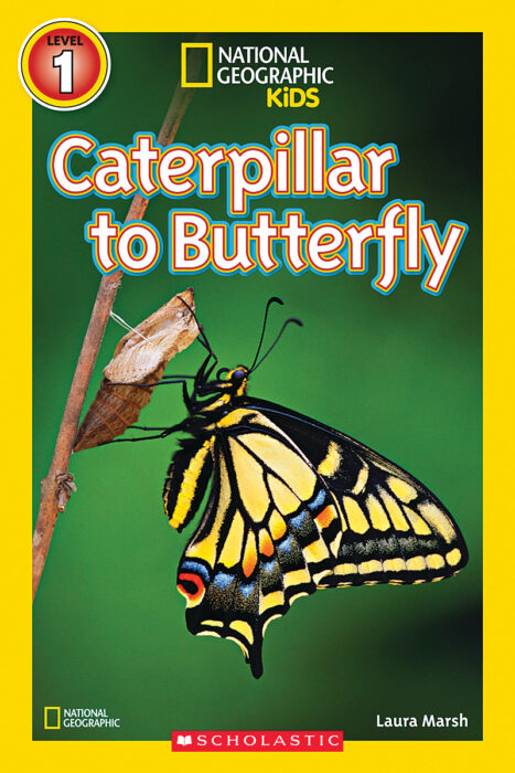 National Geographic Kids Readers: Caterpillar to Butterfly