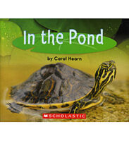 In the Pond