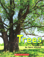 Trees