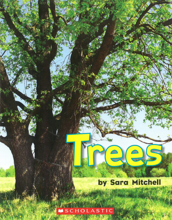 Trees