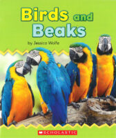 Birds and Beaks