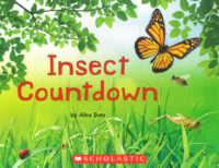 Insect Countdown