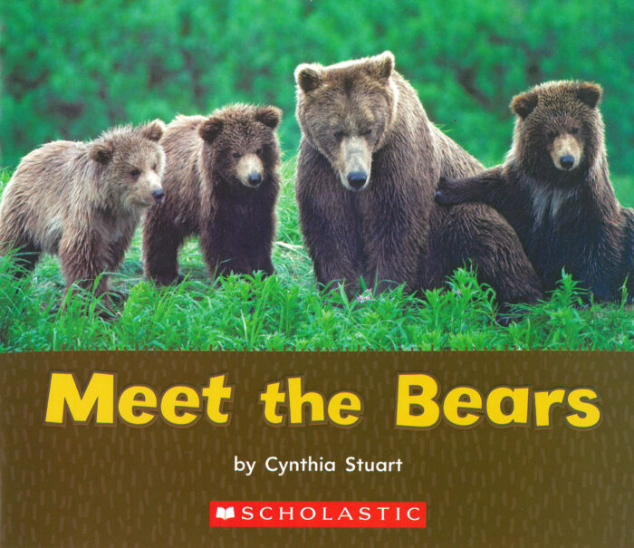 Meet the Bears (Hardcover)