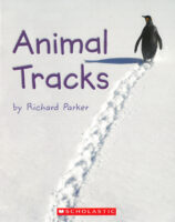 Animal Tracks