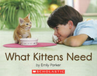 What Kittens Need