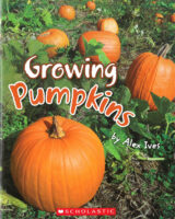 Growing Pumpkins