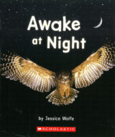 Awake at Night
