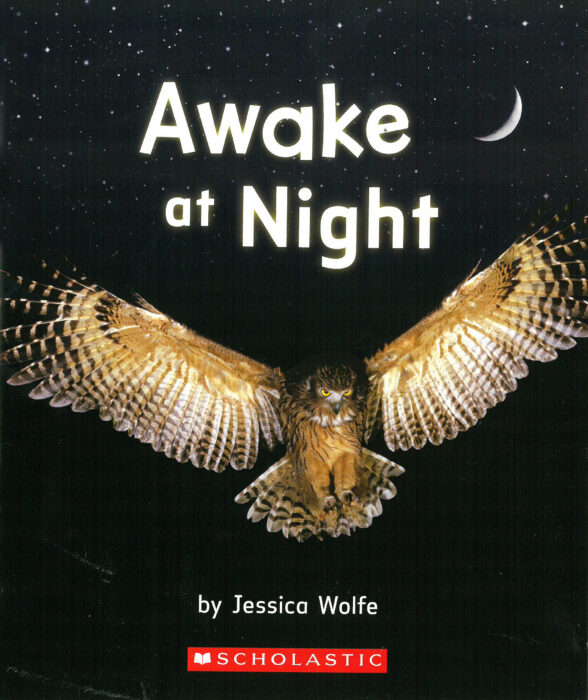Awake at Night