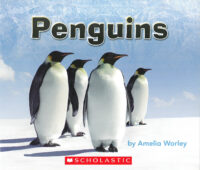 Penguins
