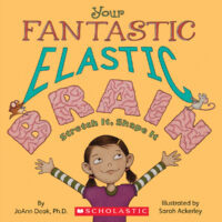 Your Fantastic Elastic Brain