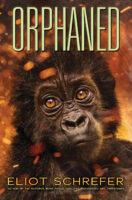 Ape Quartet: Orphaned