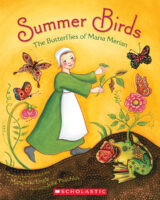 Summer Birds