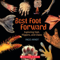 Best Foot Forward