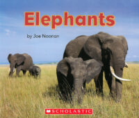 Elephants