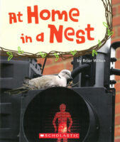 At Home in a Nest