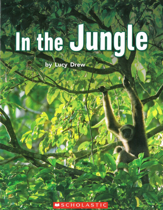 In the Jungle