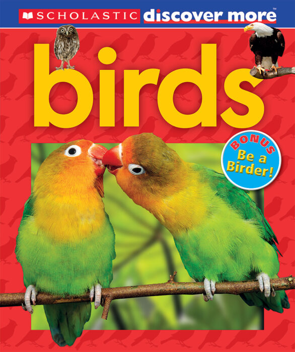 Birds