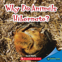 Why Do Animals Hibernate?