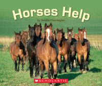 Horses Help