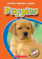 Blastoff! Readers - Watch Animals Grow: Puppies
