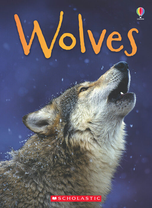 Wolves By James Maclaine Scholastic A wide variety of usborne books options are available to you wolves by james maclaine scholastic