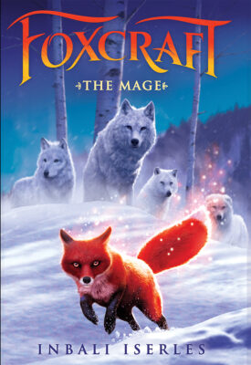 The Mage (Hardcover)