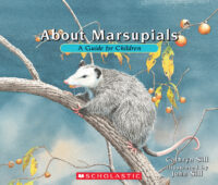 About...: About Marsupials