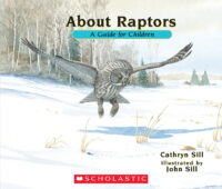 About...: About Raptors
