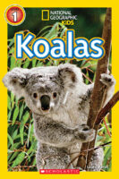 Koalas