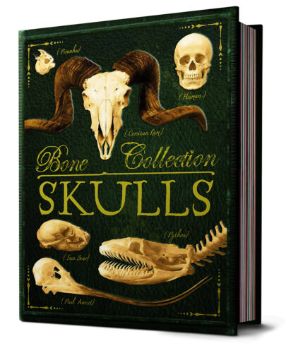 The Bone Collection: Skulls by Camilla de la Bédoyère