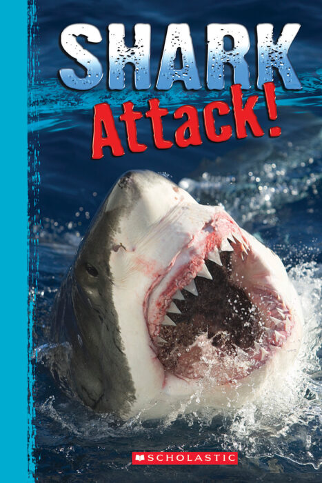 Shark World: Shark Attack!