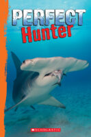 Shark World: Perfect Hunter