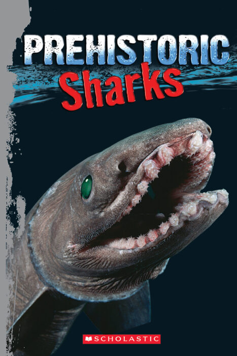 Flash Game - Prehistoric Shark 