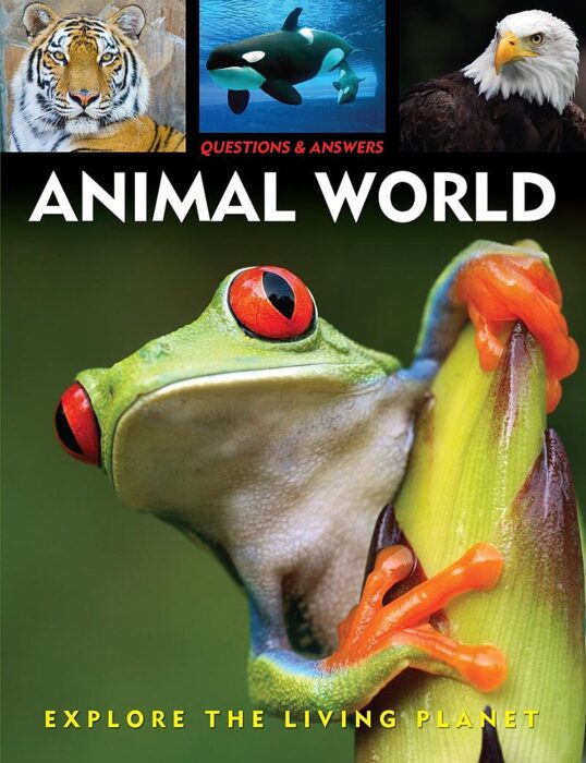 Questions & Answers Animal World Scholastic