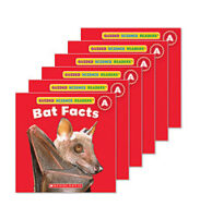 Guided Reading Set: Level A - Bat Facts