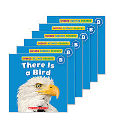 Guided Reading Set: Level B - There is a Bird