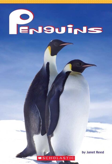Penguins By Norman Barrett Scholastic 0729